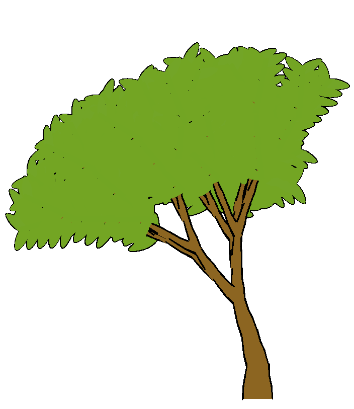 Tree Cartoon Image - Cliparts.co