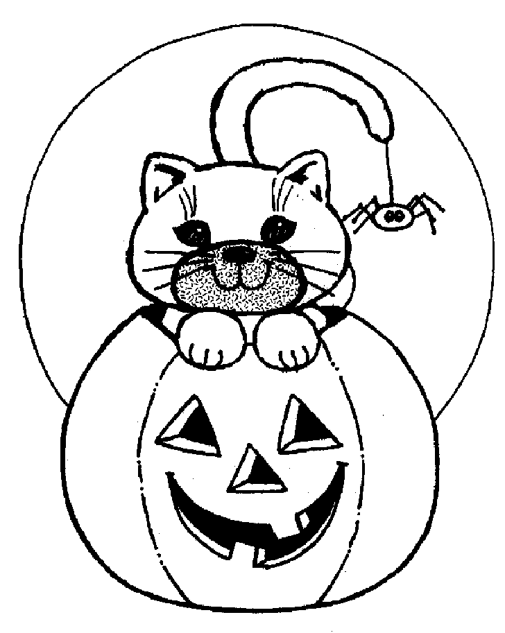 cat spider pumpkin of halloween coloring pages | thingkid.