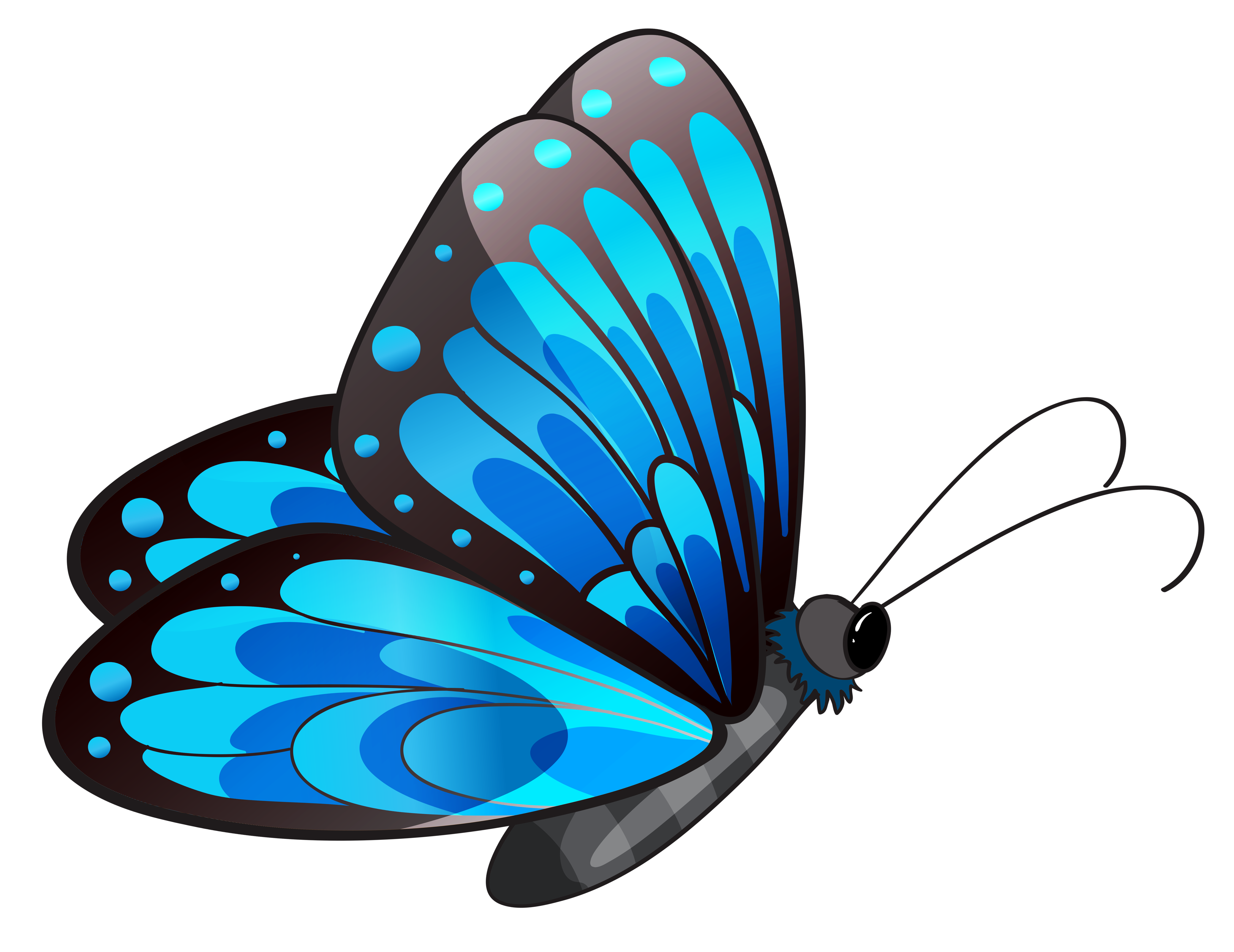 free butterfly clipart png - photo #9