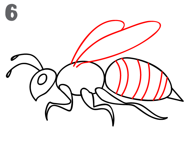 How To Draw a Bee - Step-by-Step