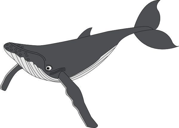 Whale clip art - vector clip art online, royalty free & public domain