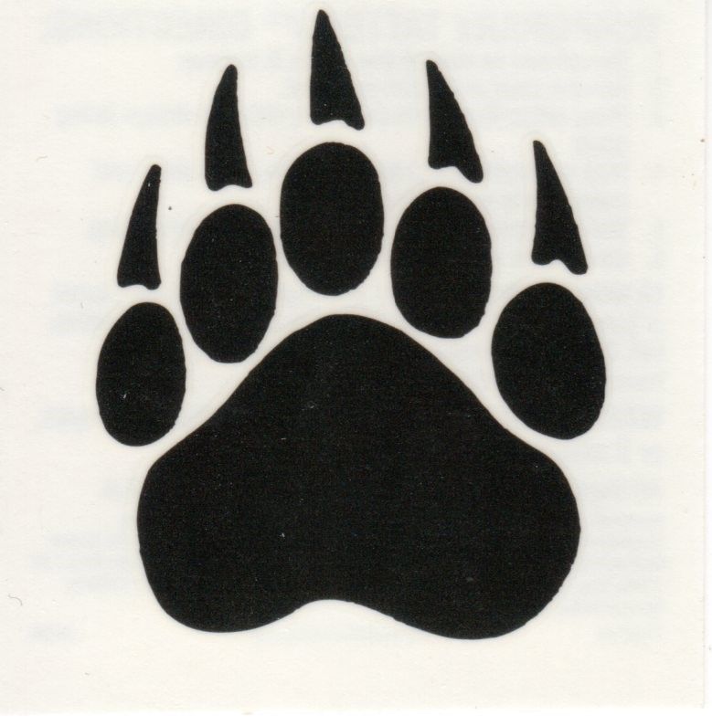 bobcat vs cougar paw prints