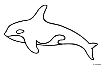 ORCA: BLACK & WHITE OUTLINE/SHADOW PUPPET TEMPLATE ...