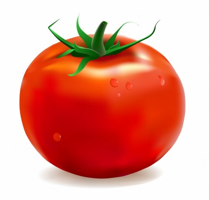 Free tomato vector Free vector for free download (about 61 files).