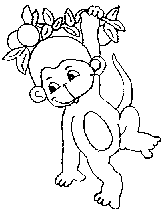 Monkey Drawing For Kids Images & Pictures - Becuo
