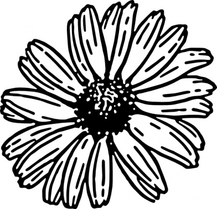 Daisy clip art - Download free Nature vectors