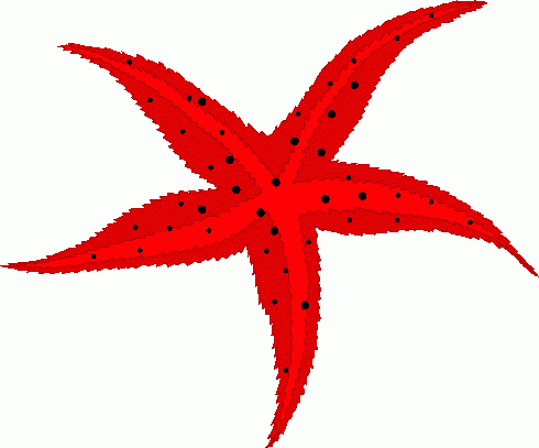 Clip Art Star Fish Images & Pictures - Becuo