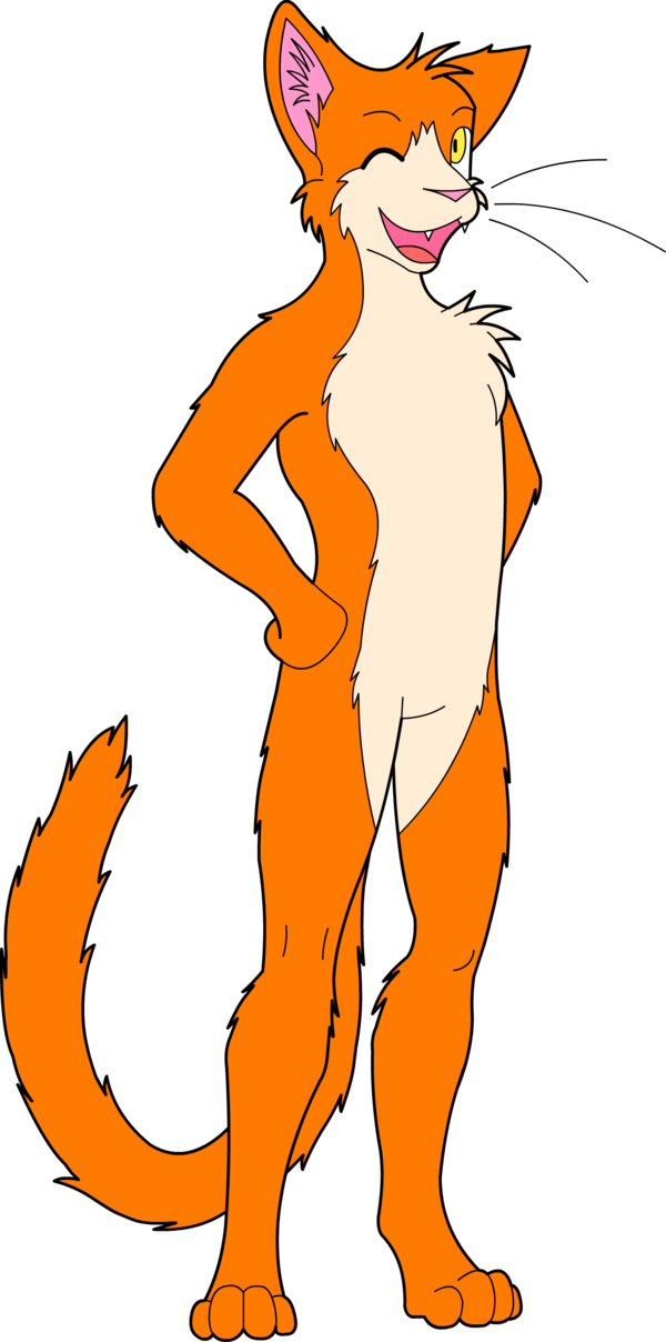 Senor the Wild Orange Cat by Aquablast-Fon on deviantART