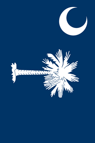 South Carolina Flags - iPhone Wallpaper