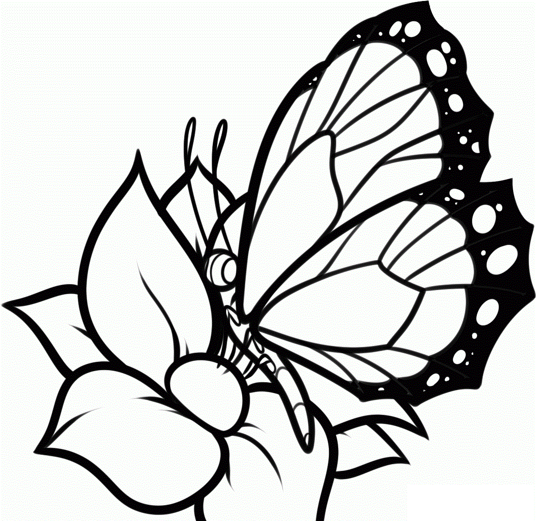 butterfly and flower coloring pages | Kids Activities