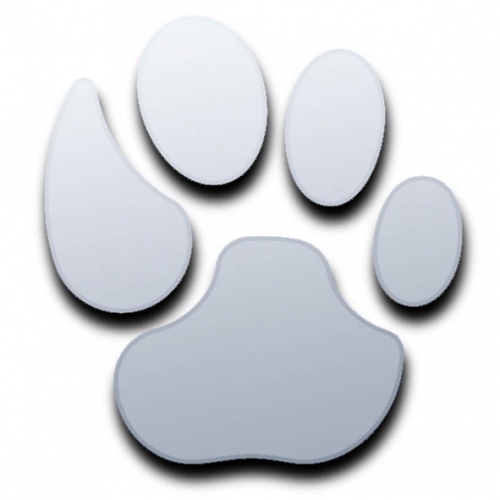 Pair of Lion Paw Print Mirrors - ClipArt Best - ClipArt Best