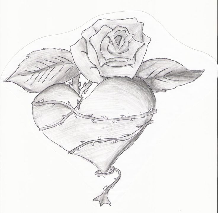 drawings on Pinterest | Rose Drawings, Tattoo Design Drawings and ...