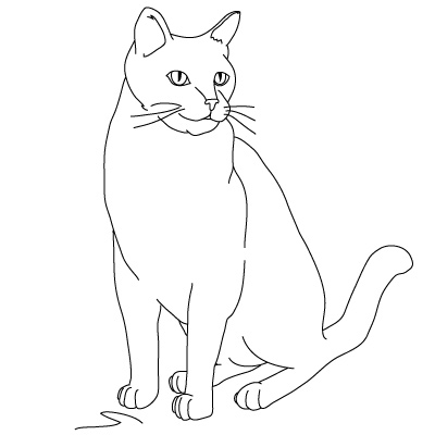 How to Draw a Cat | Fun Drawing Lessons for Kids & Adults