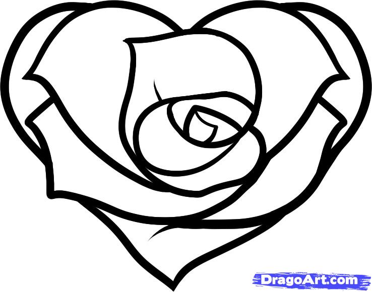 How to Draw a Heart Rose, Rose Heart, Step by Step, Flowers, Pop ...