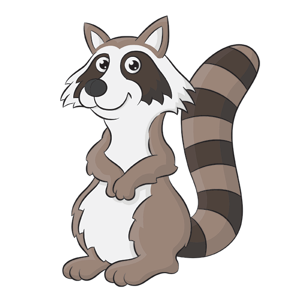 Raccoon Cartoon Step by Step Drawing Lesson