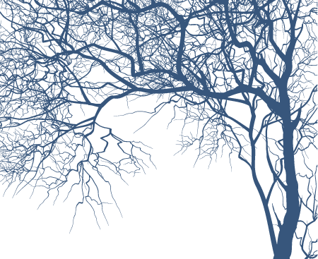 Free Vector Tree Branches | Free Resource for Designers