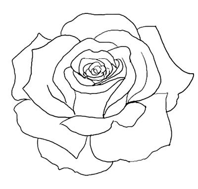 Rose Outline on Pinterest
