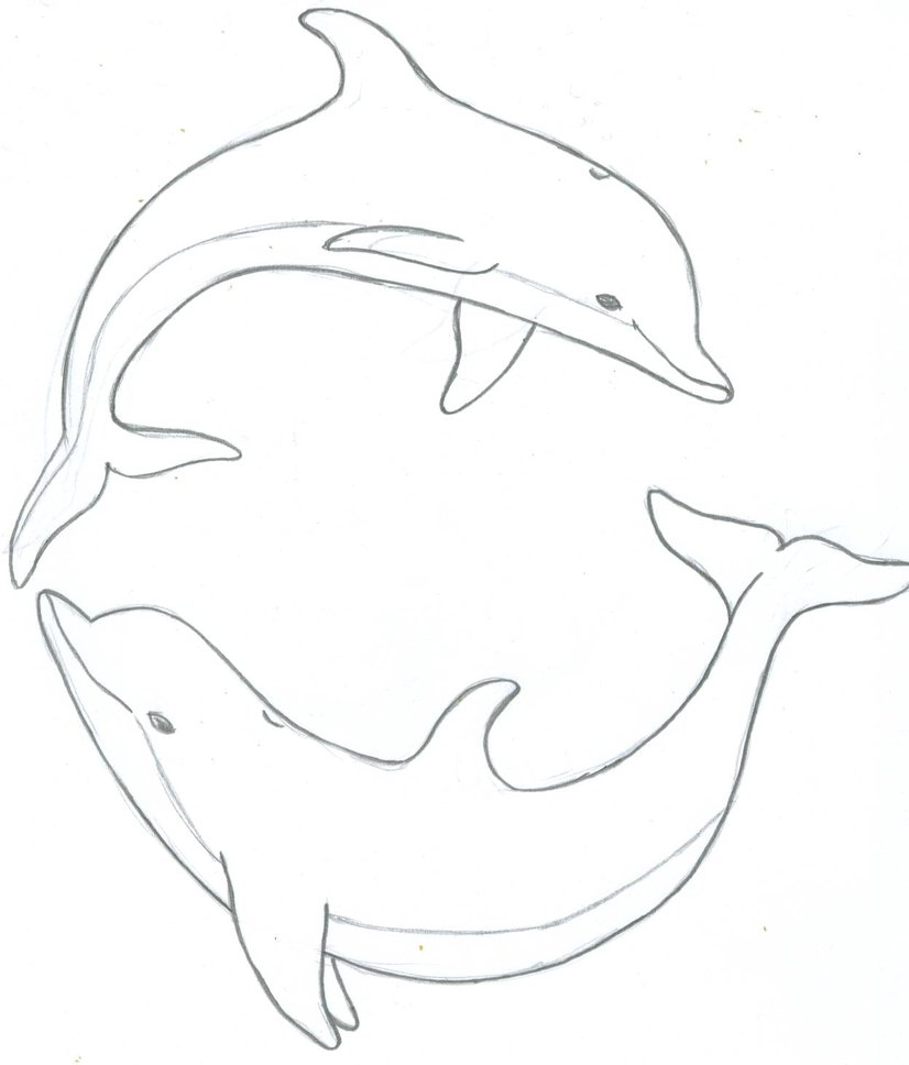 Dolphins Jumping Drawing - Gallery