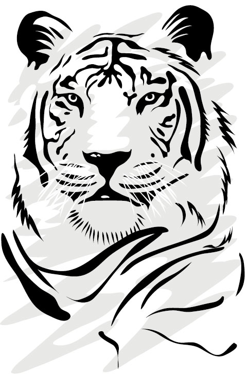 Set of Tiger vector picture art 06 - Vector Animal free download