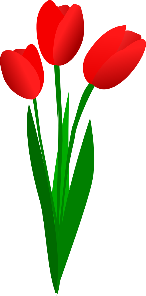 clipart-three-red-tulips-512x ...