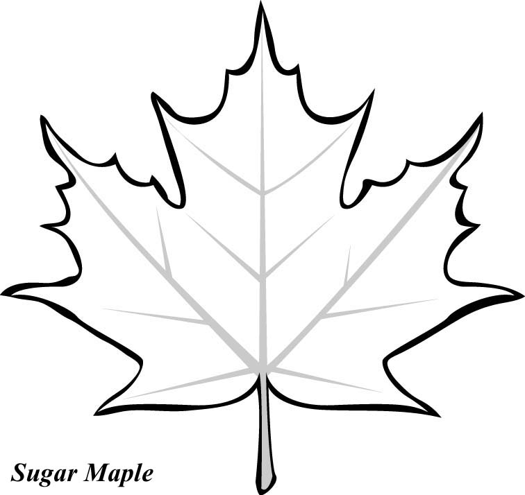 clipart leaf black and white - photo #6