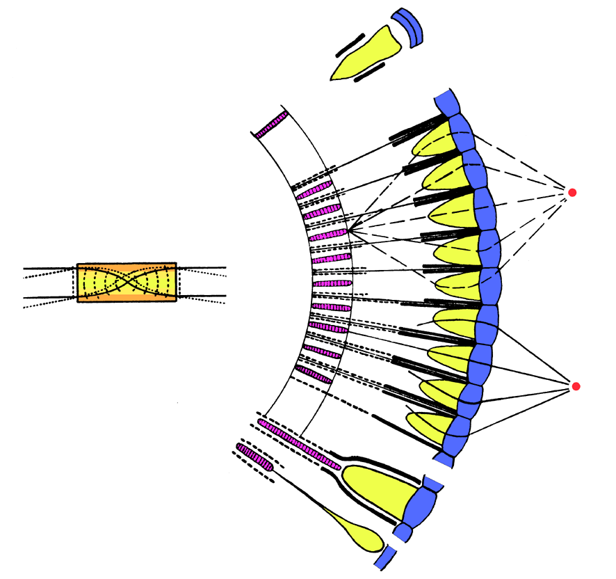 Microscope Lens Diagram
