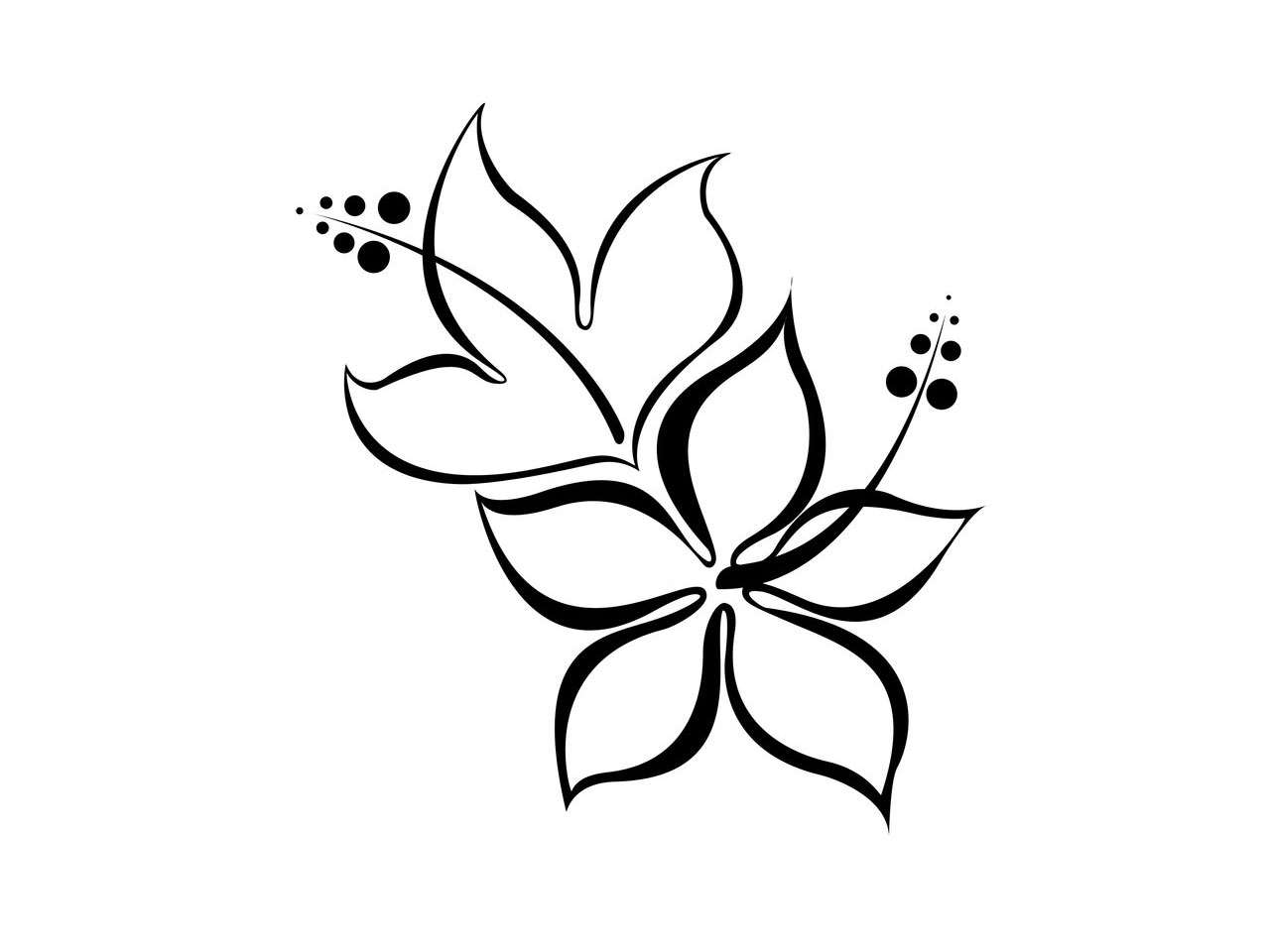 Black Flower Tattoos Designssimple Flower Drawings In Black And ...