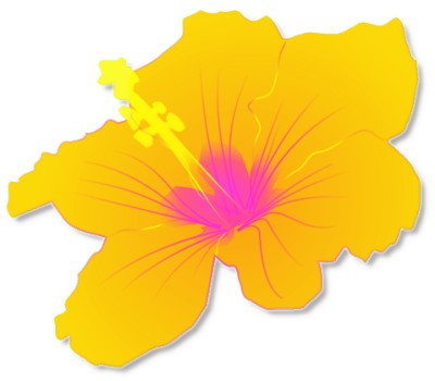 Tropical Free Hawaiian Clip Art, Hawaiian Flower, Hawaiian Luau ...