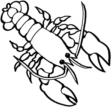 Lobster Coloring Page | Coloring Page