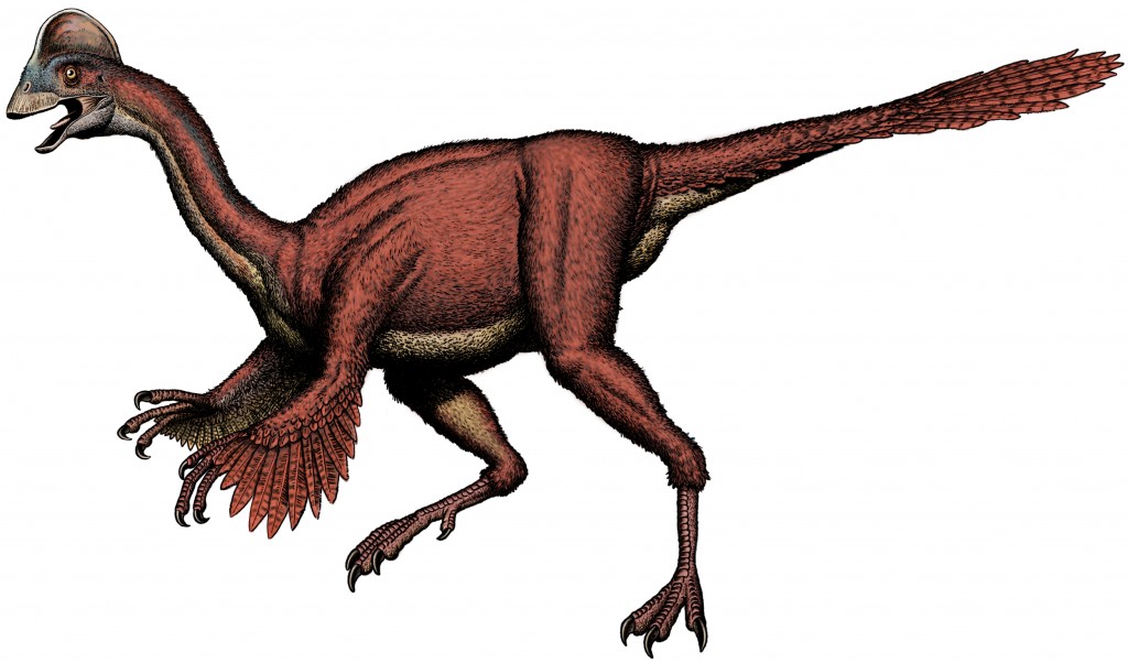 Feathered-dinosaur-Anzu-Wyliei ...