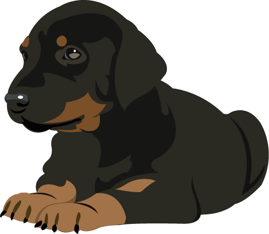 ClipArtFort: Animals » Pets » Doberman Puppy