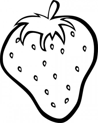Fruit outline clipart Free vector for free download (about 2 files).