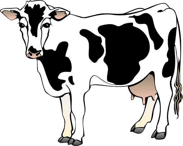 Dairy Cow clip art - vector clip art online, royalty free & public ...