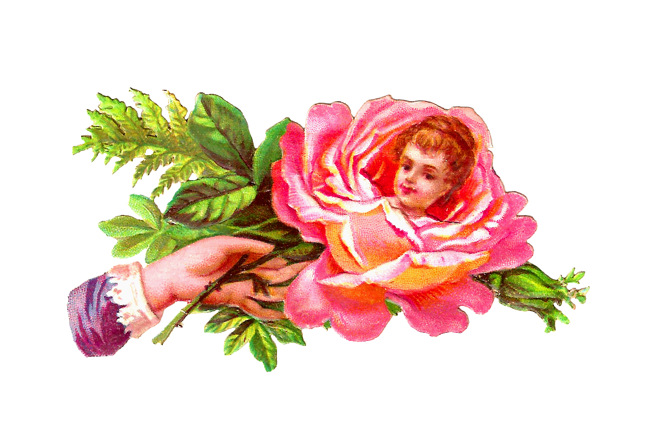 Antique Images: Free Rose Graphic: Antique Pink Rose with Woman's ...