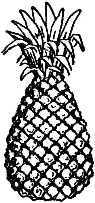 free black and white pineapple clipart - photo #19
