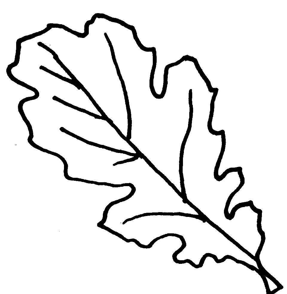 Oak Leaves Coloring Pages | Clipart Panda - Free Clipart Images