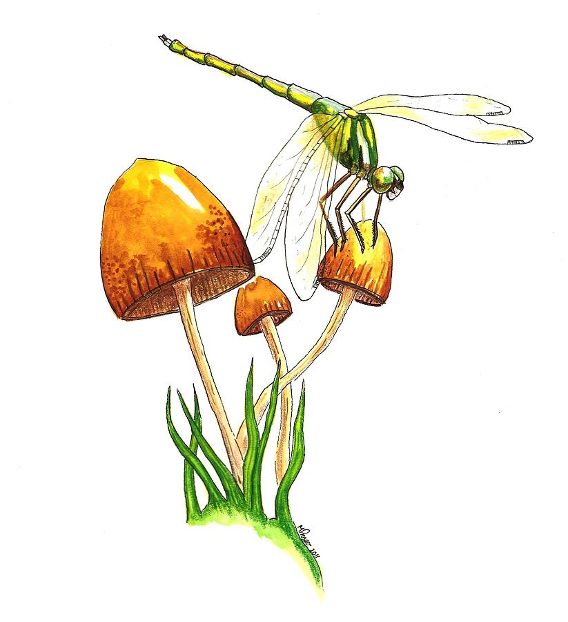 Dragonfly On Mushroom by Michael Prosper - Dragonfly On Mushroom ...