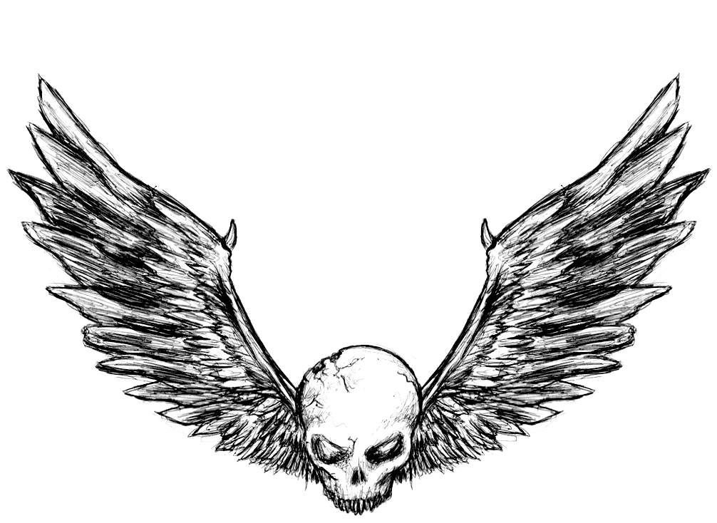 Skull With Wings Drawing Images & Pictures - Becuo