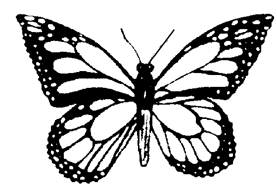 Butterfly Clip Art Outline - ClipArt Best