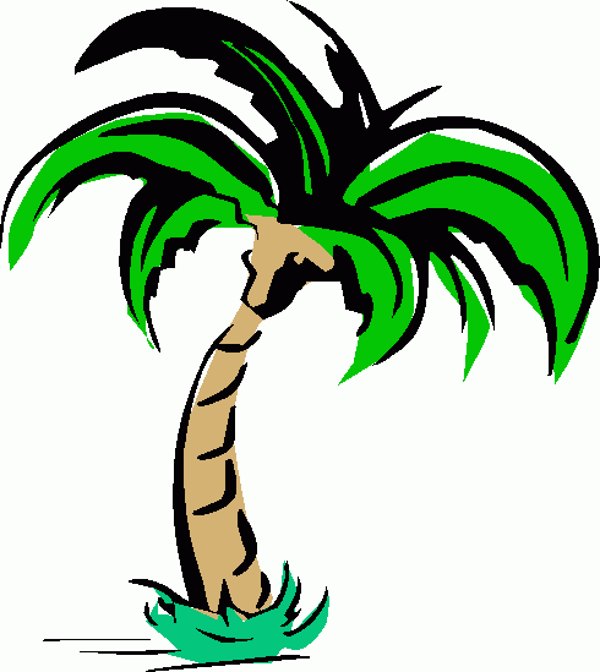 free clip art cartoon palm trees - photo #23