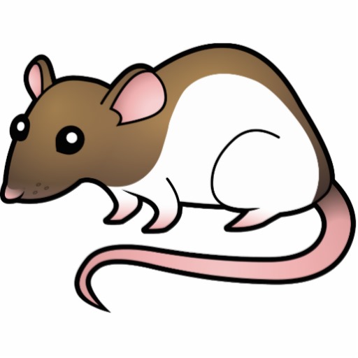 clipart pictures of rats - photo #24
