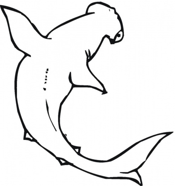 Hammerhead Shark Coloring Pages - Animal Coloring pages of ...