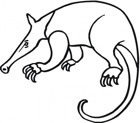 Coloring Pages: anteater coloring page Anteater Coloring Pages ...