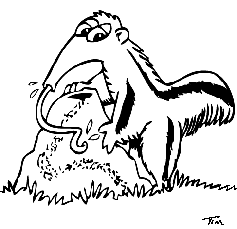 圖片:anteater sign | 精彩圖片搜