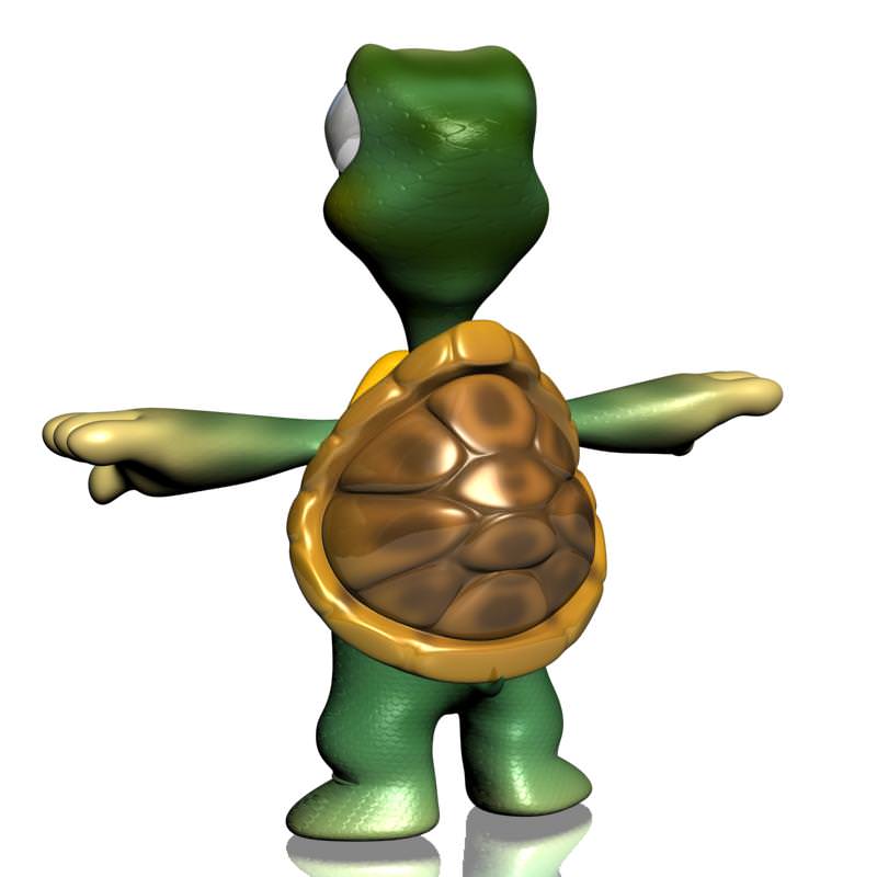 Cartoon Turtle Rigged 3D Model Game ready rigged .max .obj .3ds ...