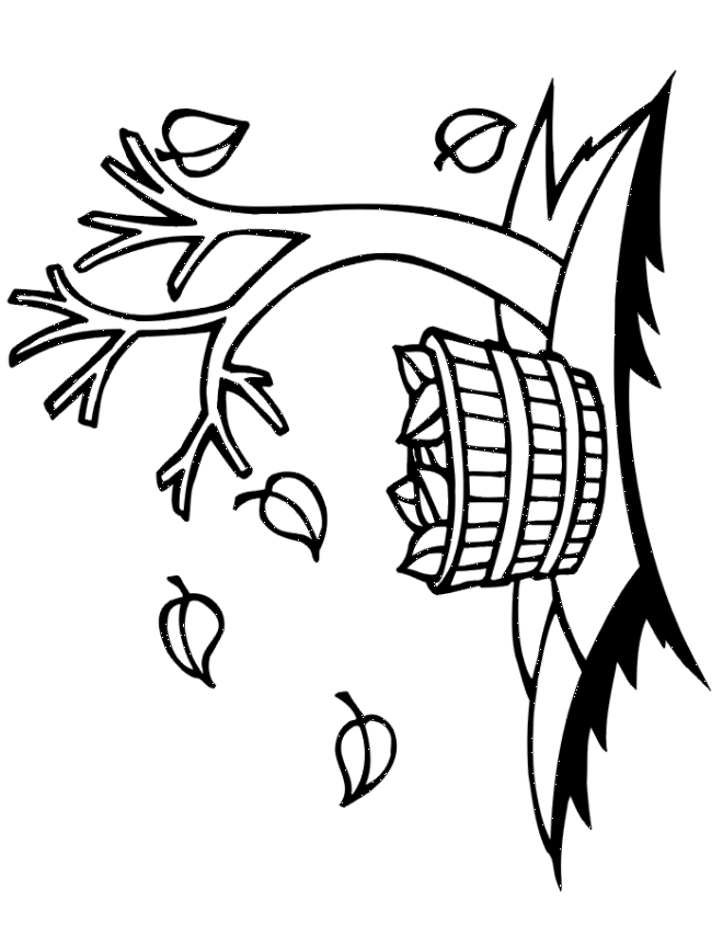 Fall Trees Coloring Pages
