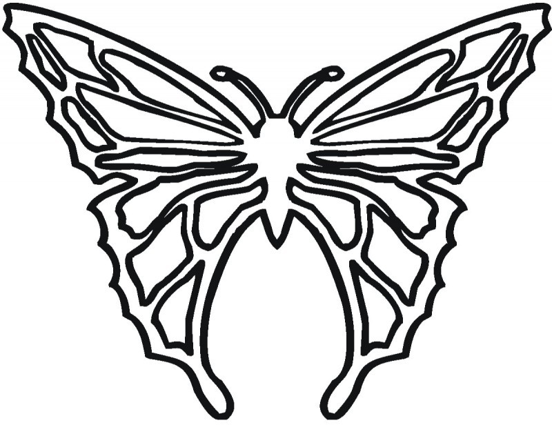 Butterfly Very Big Coloring Page - Kids Colouring Pages