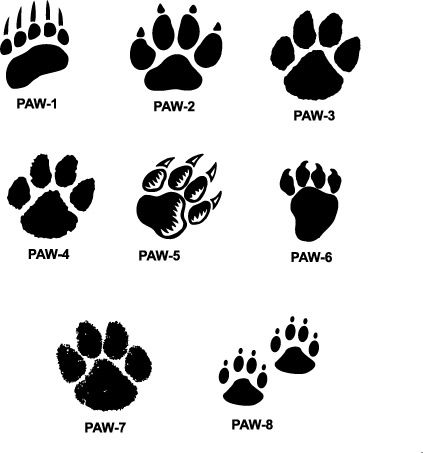 tiger paw prints walking drawing | cougar paw prints cougar paw ...