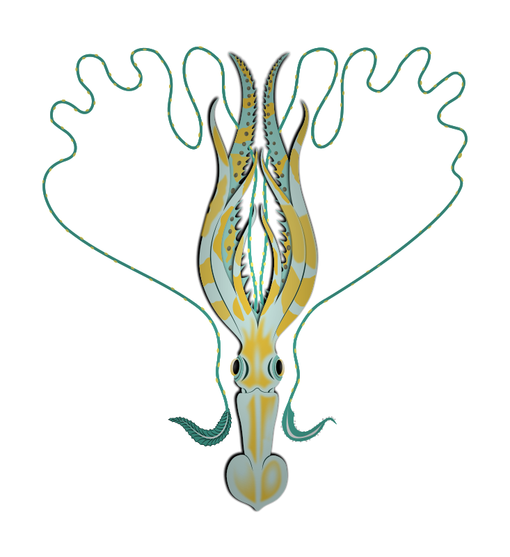 zooplankton clipart - photo #44