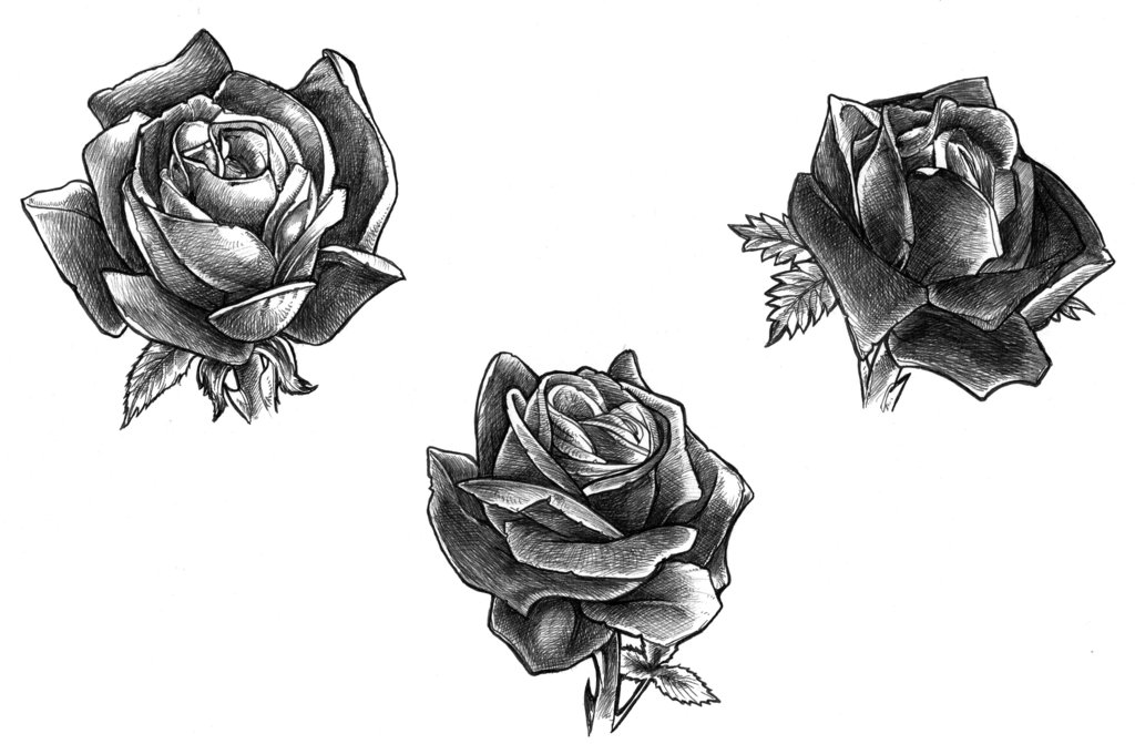 Black Rose Tattoo Designs Ideas Photos Images | Popular Top Tattoos